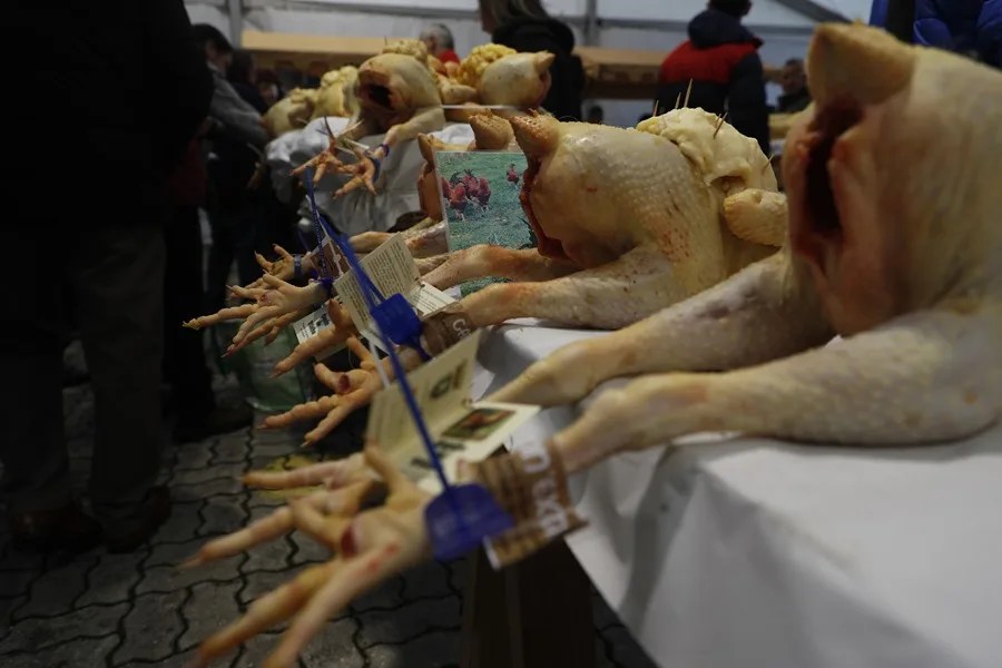La gripe aviar no afecta al consumo en Navidad
