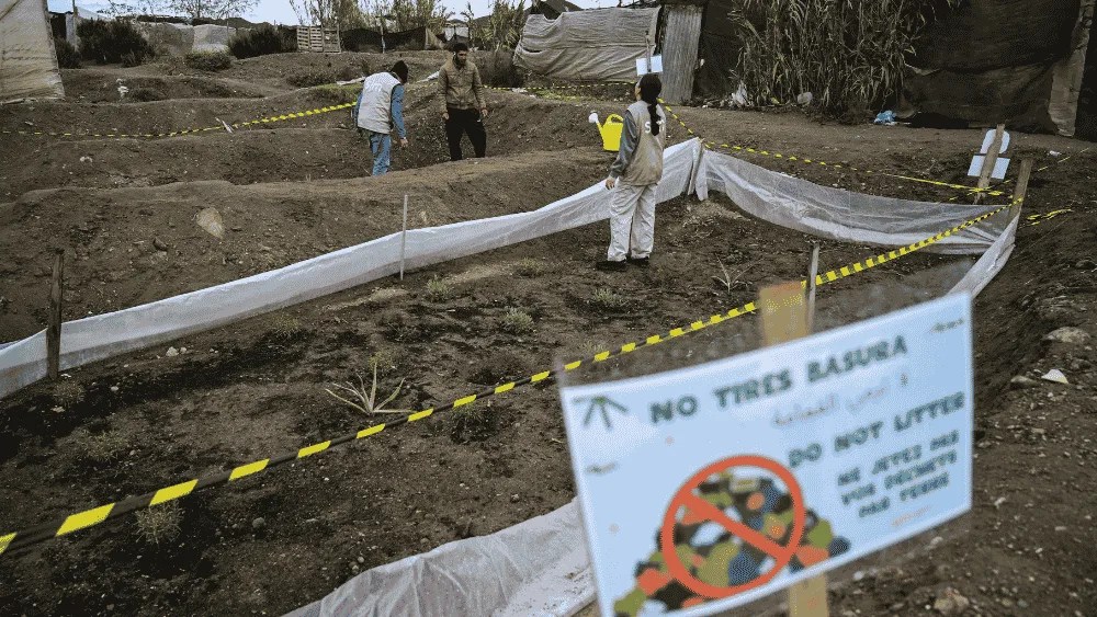Imagen de una zona de chabolas con jardín, donde antes había basura