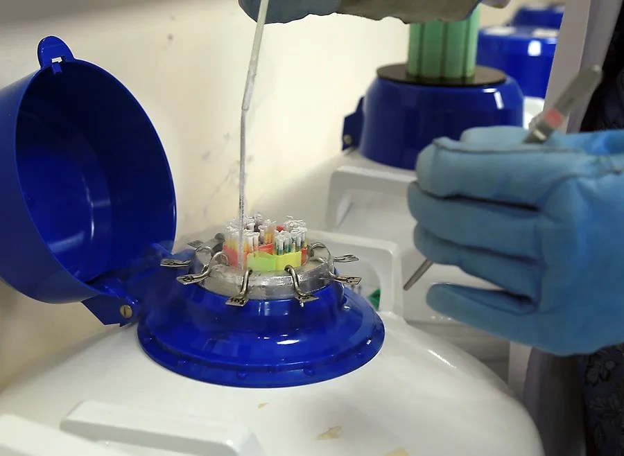 Un banco de esperma de Dinamarca ha vendido semen de un mismo donante, que porta un gen cancerígeno
