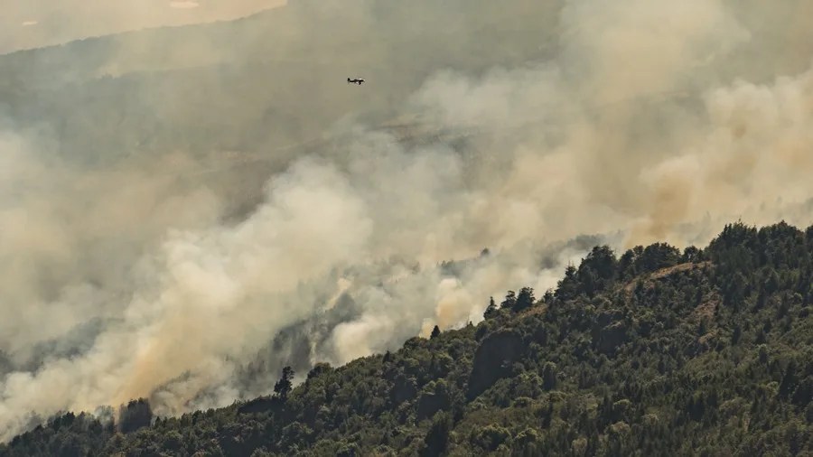patagonia incendio