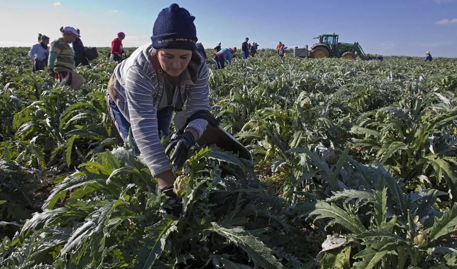 ECOLOGISTAS UE MERCOSUR