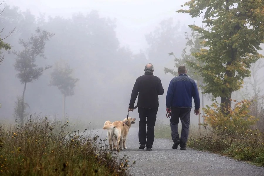 disfunción eréctil España