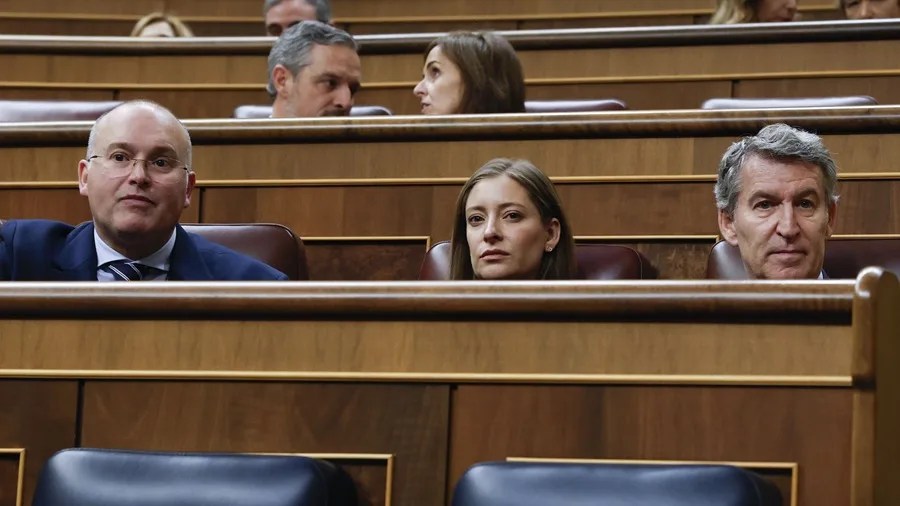 El líder del Partido Popular (PP), Alberto Núñez-Feijóo (d), y los diputados populares Miguel Tellado (i) y Ester Muñoz (c)