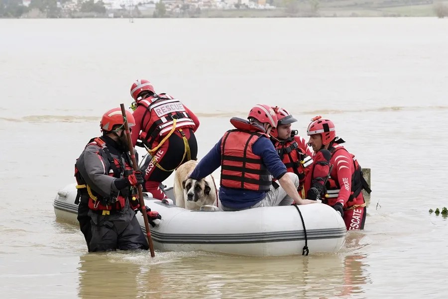 Miembros de la Cruz Roja durante el rescate de un perro que había quedado atrapado en una finca de la zona rural de las Pachecas en Jerez de la Frontera
