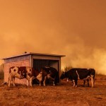 El incendio en Chile avanzó 10 veces más rápido que la capacidad de extinción, según expertos europeos