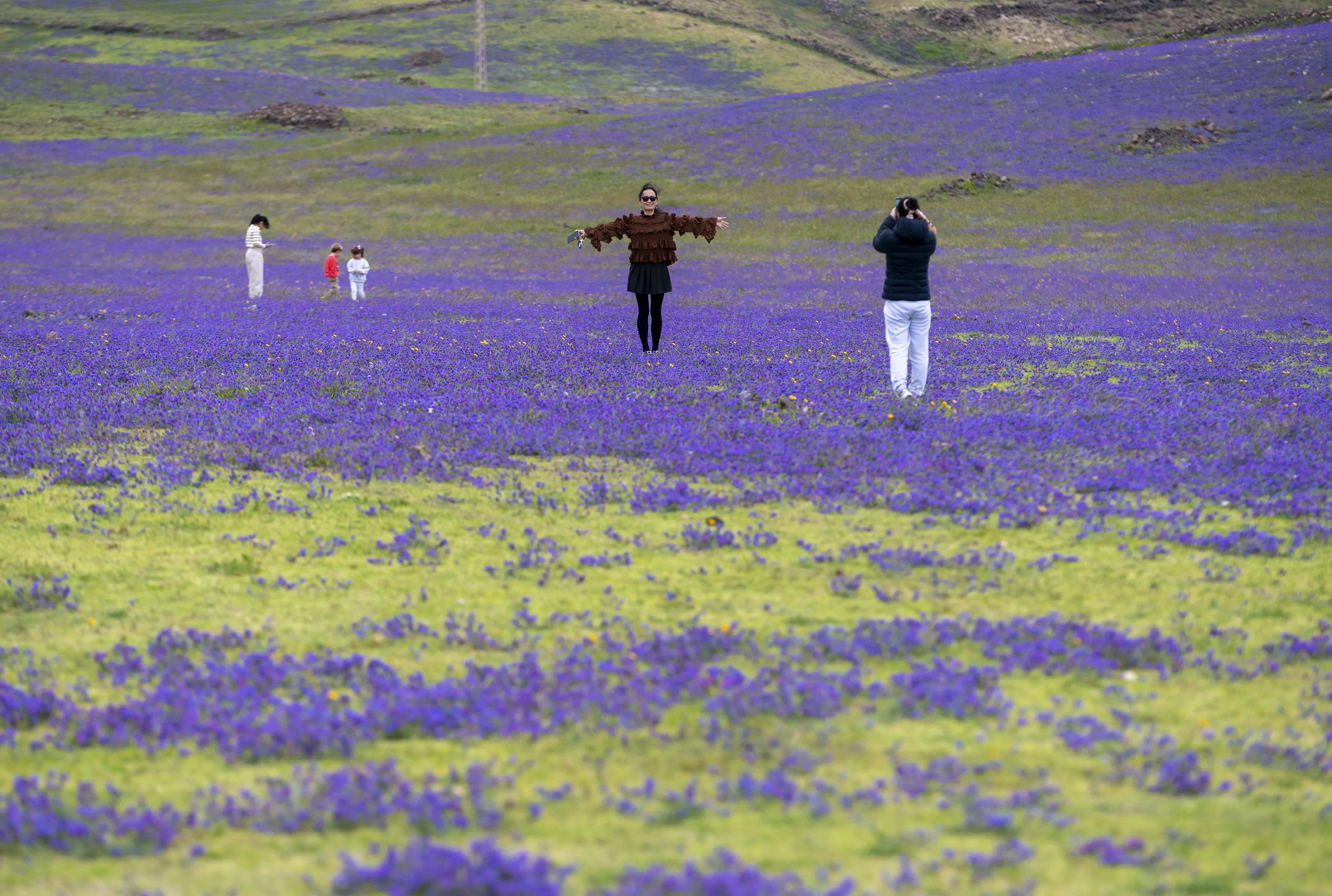 Varias personas disfrutan de un paisaje salpicado de flores en Yaiza, en sur de Lanzarote. EFE/Adriel Perdomo