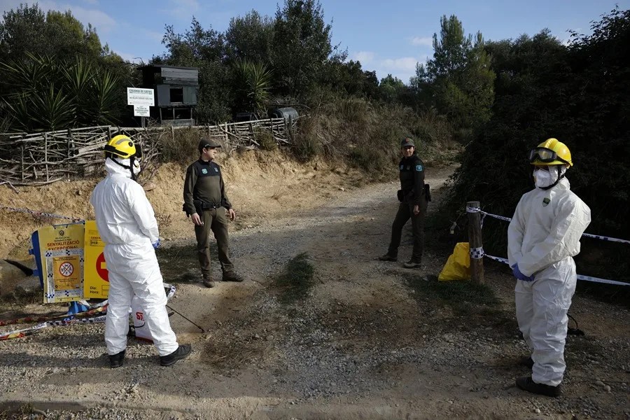 peste porcina Barcelona