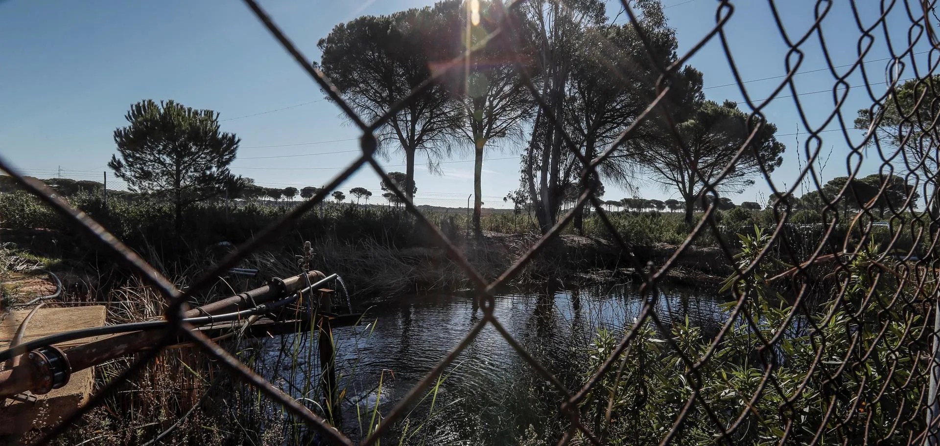 pozos casa de alba doñana