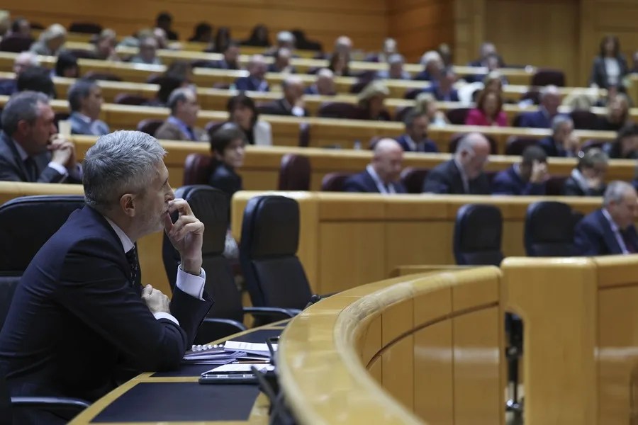 El ministro del Interior, Fernando Grande-Marlaska