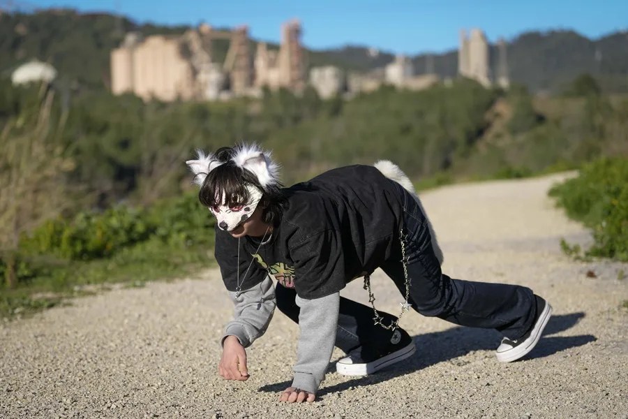 Preocupación por el impacto de los "therians" en los animales reales