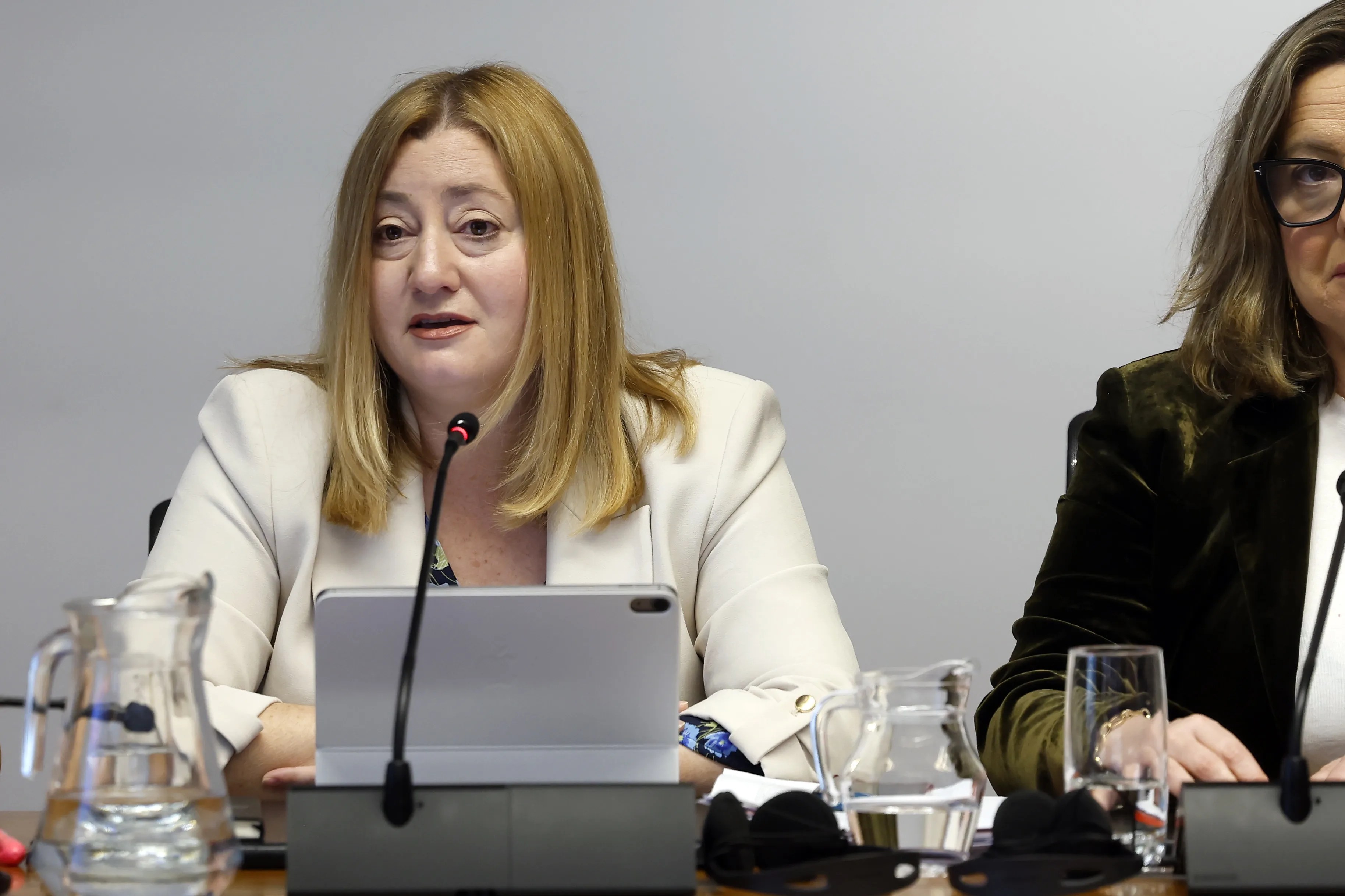 Imagen de la comparecencia de la directora general de Protección Social y Cooperación al Desarrollo del Gobierno de Navarra, Miriam Martón, para explicar la reforma de la Renta Garantizada