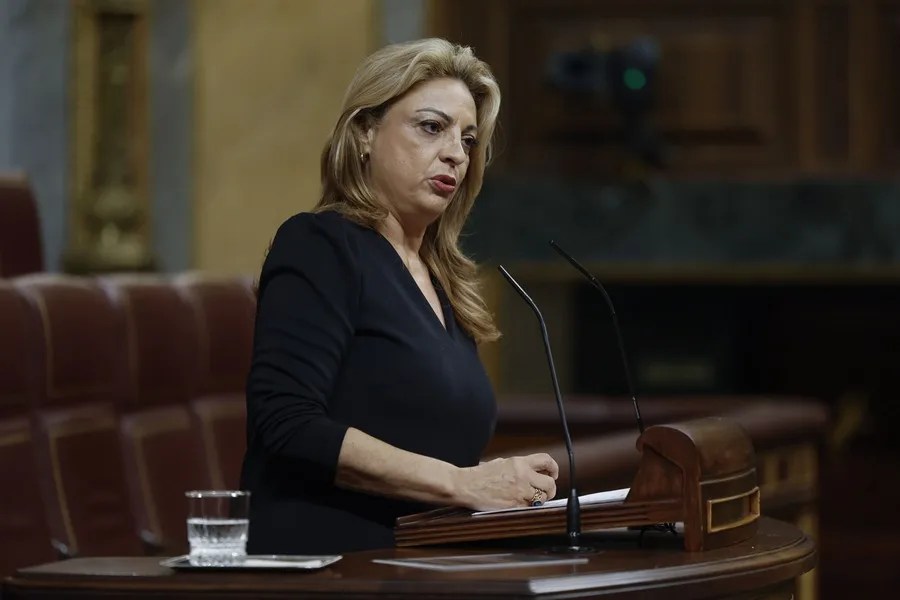 La diputada de Coalición Canaria Cristina Valido