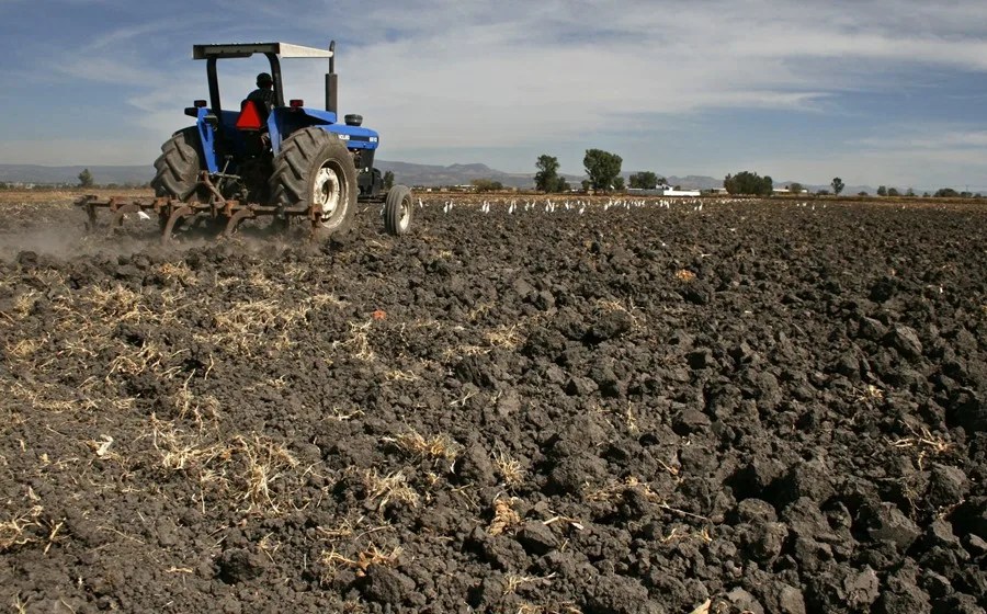 CAMPO ALZA PRECIOS GUERRA