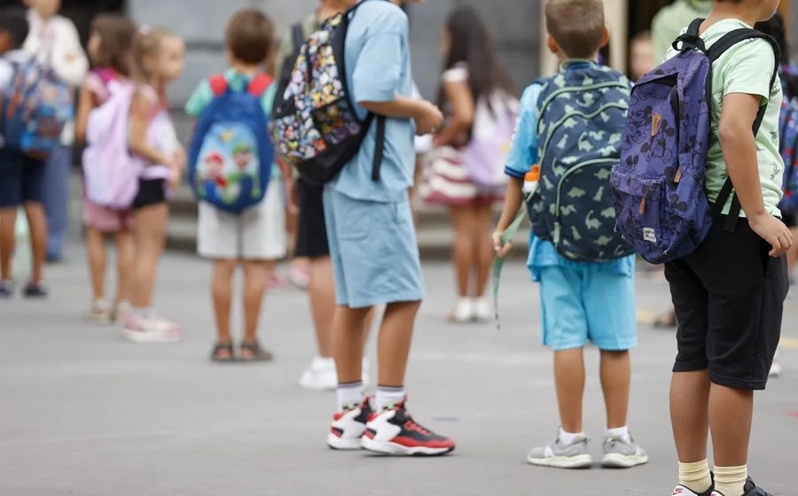 ley docencia alumnos profesores