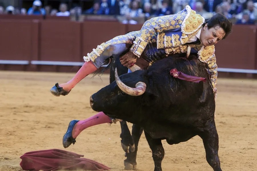 El diestro Roca Rey con su segundo toro en la decimotercera corrida de abono este jueves en la Plaza de Toros de La Maestranza de Sevilla.
