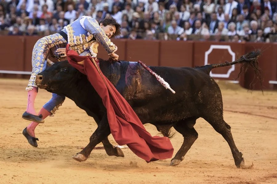 El diestro Roca Rey con su segundo toro en la decimotercera corrida de abono este jueves en la Plaza de Toros de La Maestranza de Sevilla