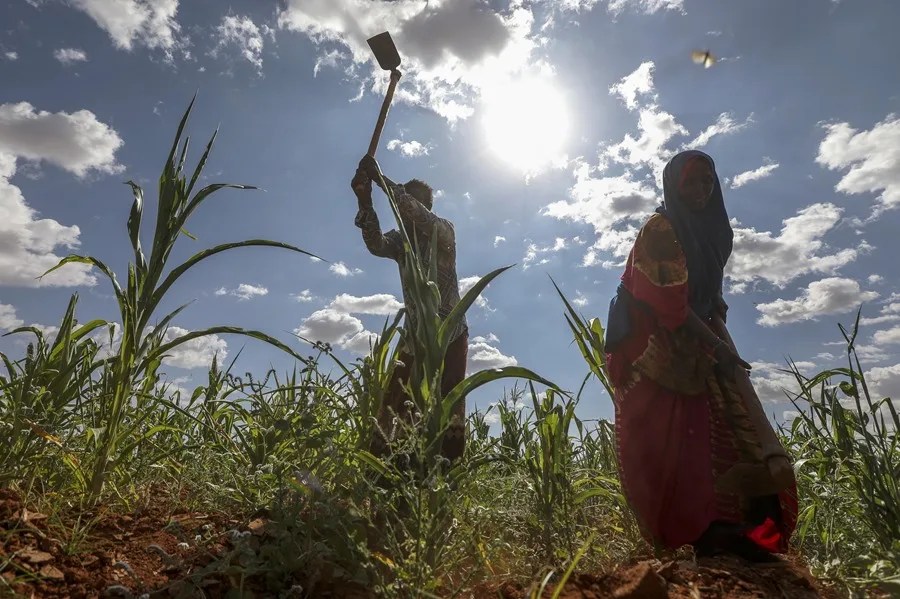 Dos mujeres somalíes desplazadas por el cambio climático
