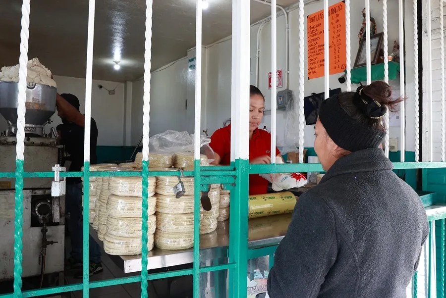 México tortilla