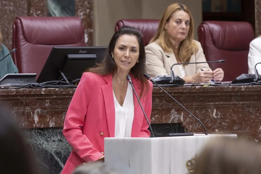 La diputada de Vox en el parlamento murciano Virginia Martínez