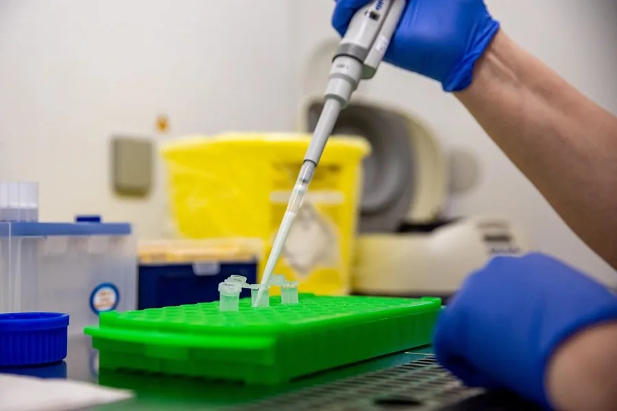 Actualización de los casos confirmados de hantavirus