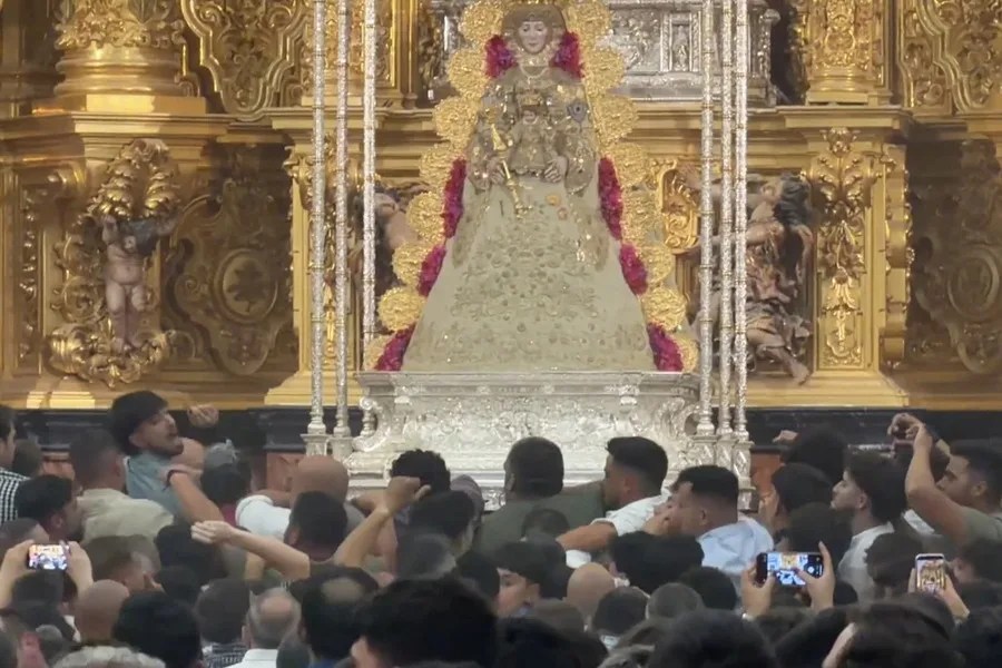 Salto de la reja en el Rocío
