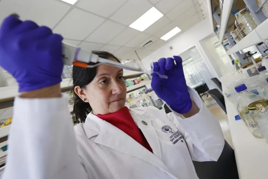La alentadora vacuna chilena contra el hantavirus que busca fondos para avanzar en humanos