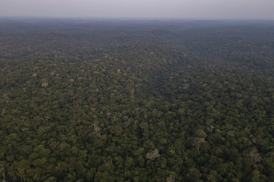 Lula impulsa la pavimentación de una polémica carretera en la Amazonía brasileña