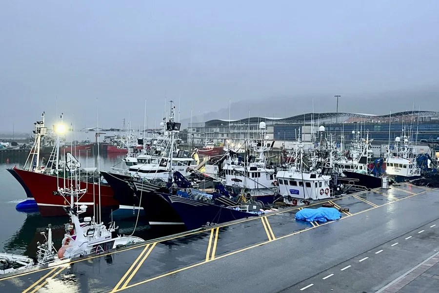 Embarcaciones amarradas en el puerto de Santoña