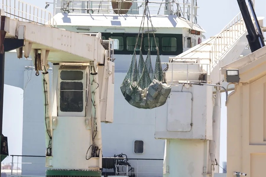 barco cocaína Canarias