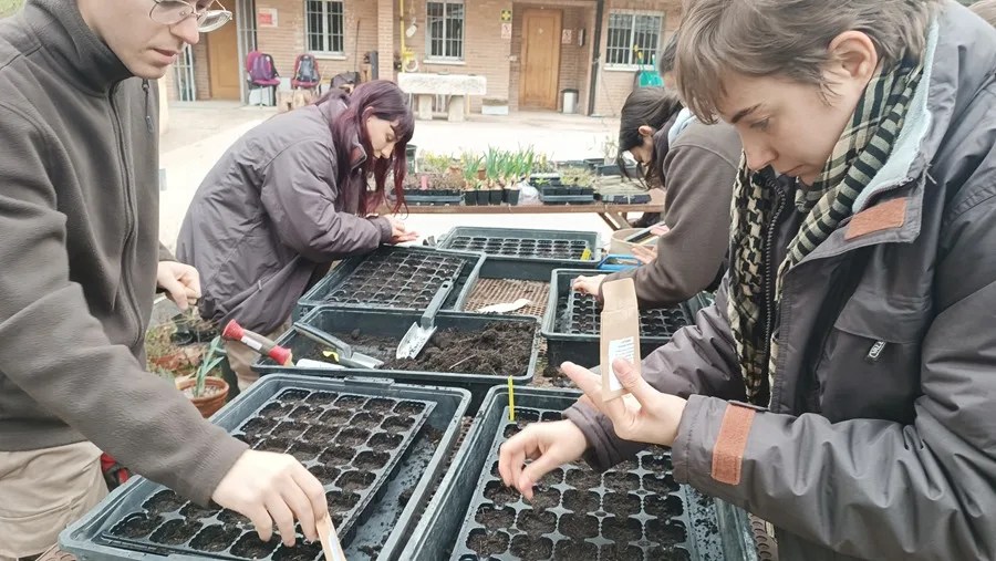 PLANTAS CAMBIO CLIMATICO