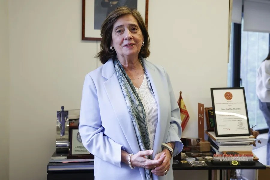 La fiscal de Sala de Criminalidad Informática, Elvira Tejada, analiza en una entrevista con EFE
