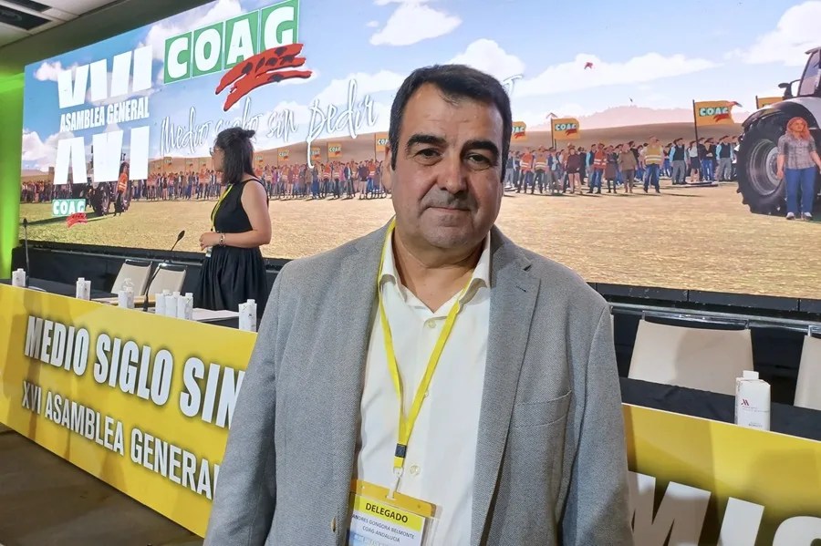 andres gongora coag
