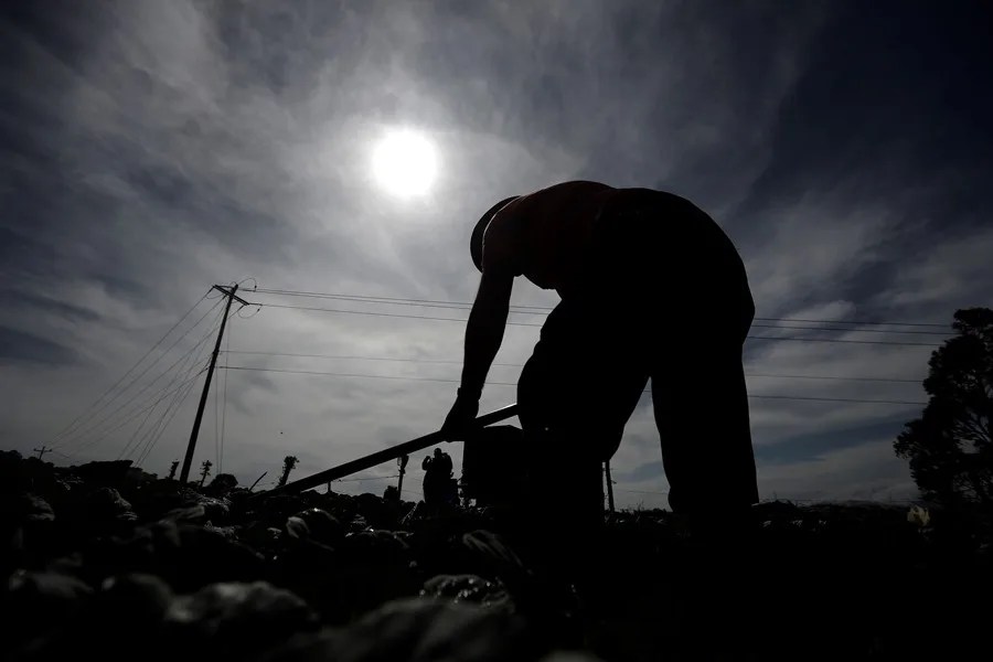 Un trabajador del campo