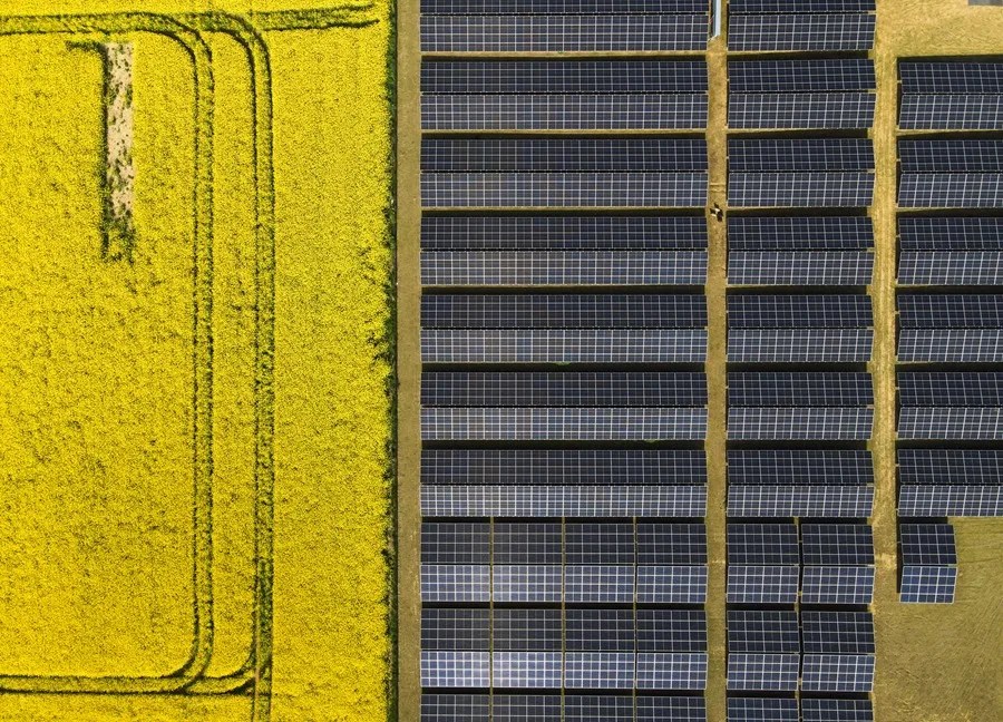 Paneles solares