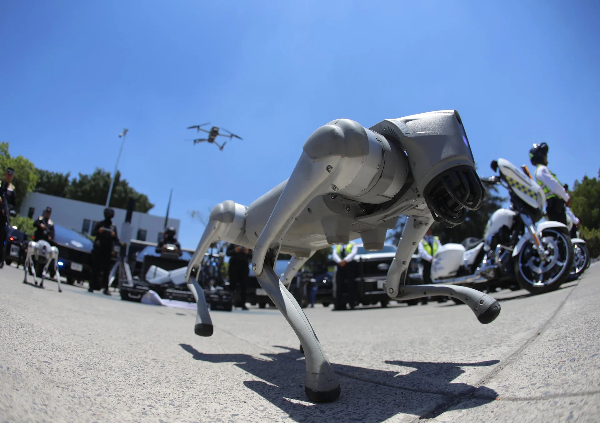 Members of the drone squad demonstrate robots in Guadalajara, Mexico, 26 May 2026 (Issued 27 May 2026). EFE/ Francisco Guasco

