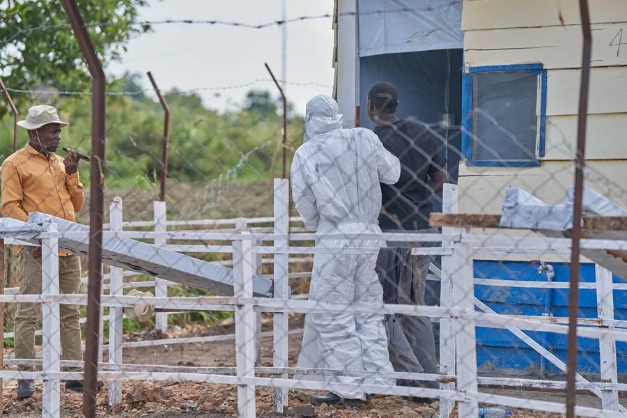 Actualización de las víctimas del brote de ébola en la RDC