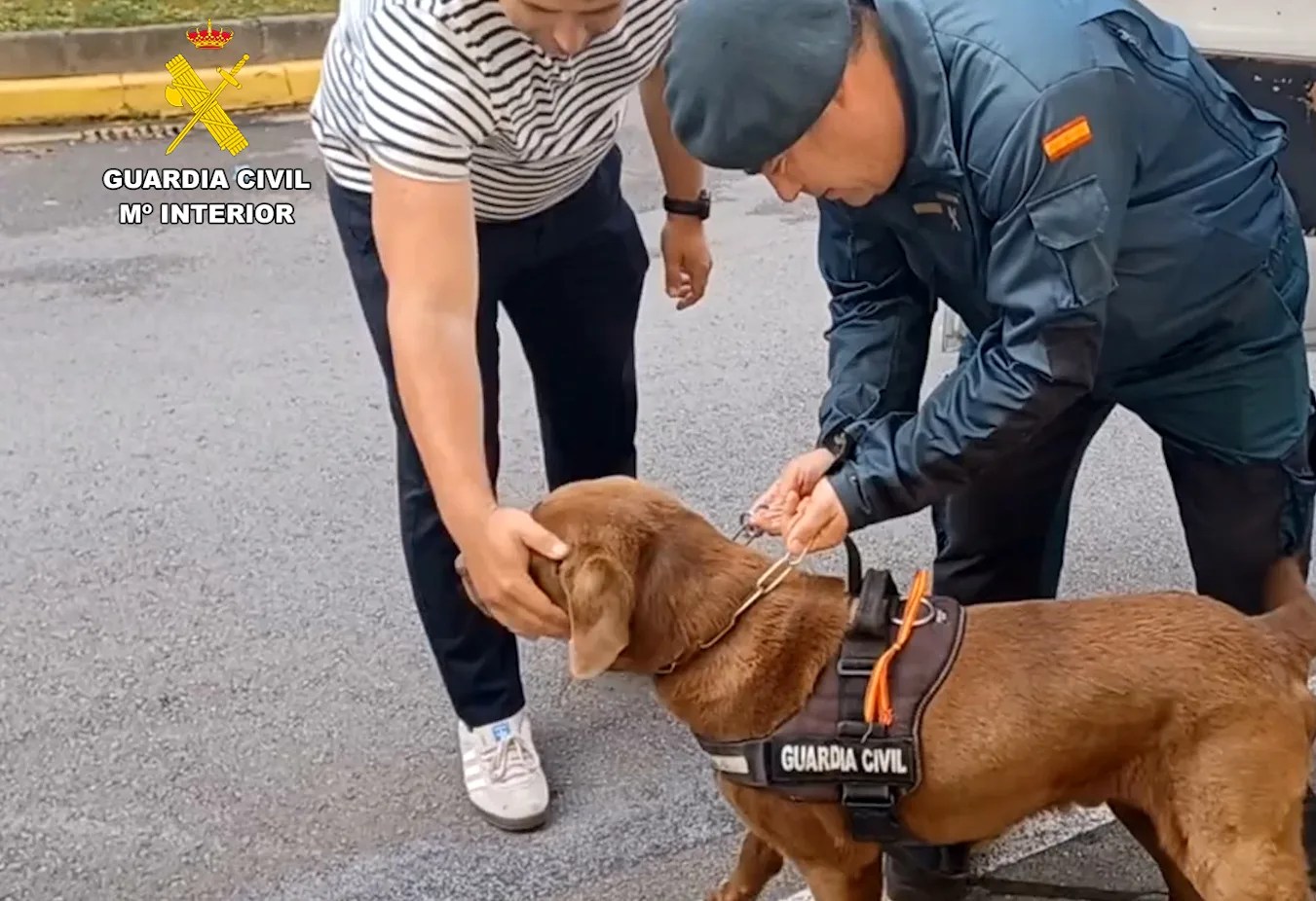 Max, el perro adoptado de la Guardia Civil