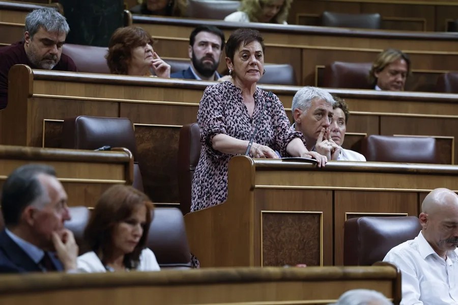 La portavoz de EH Bildu, Mertxe Aizpurua
