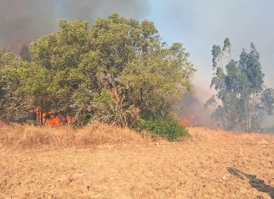 Incendio en el paraje Carril del Cementerio en el término municipal de Alosno