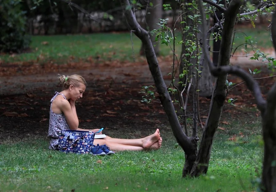 Una joven lee en un parque en Madrid.