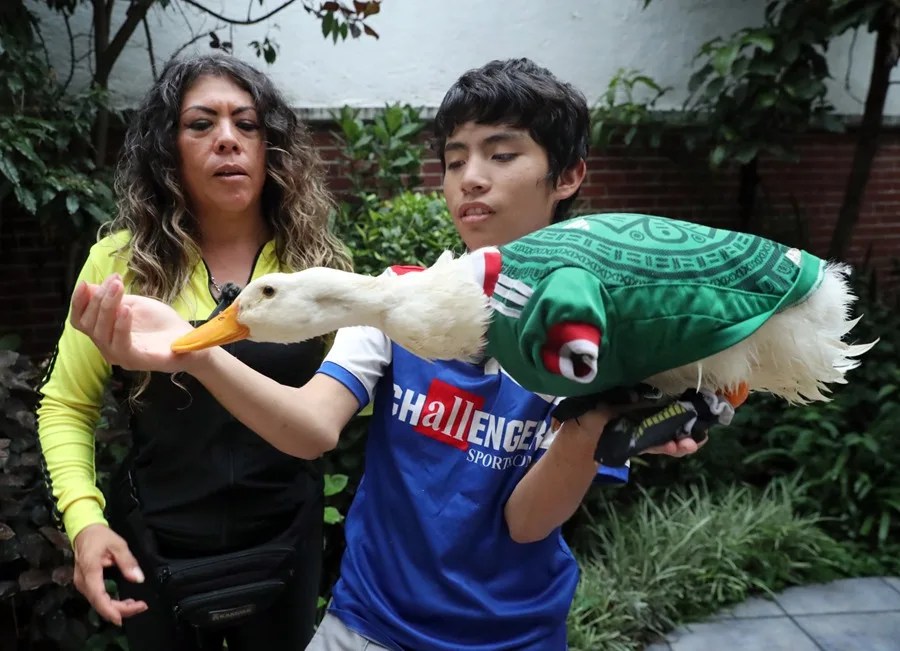 México reconoce a la familia Gómez la marca del viral 'pato mundialista'