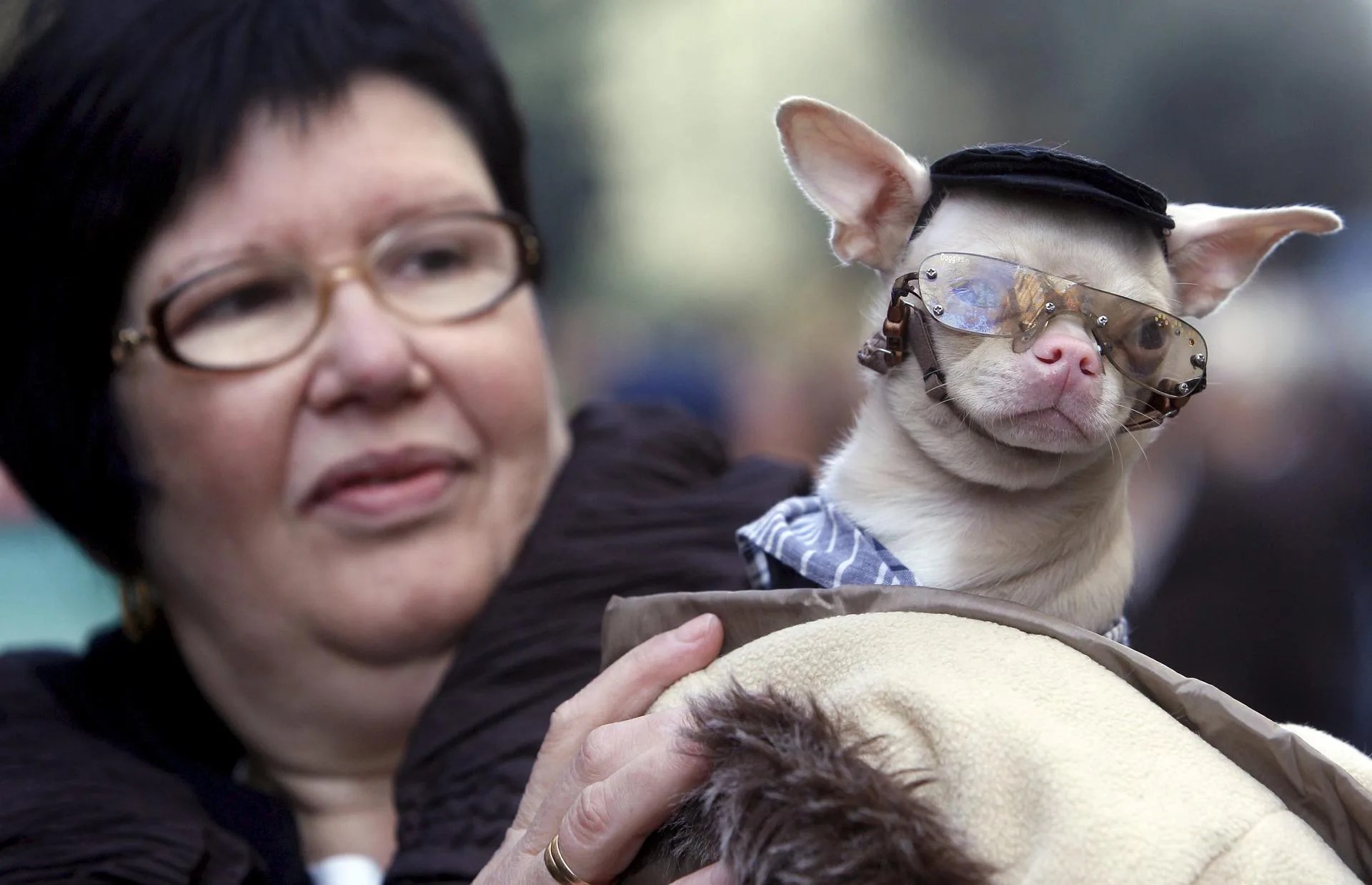 Una mujer lleva a su perro presume de mascota en València. EFE/Kai Försterling
