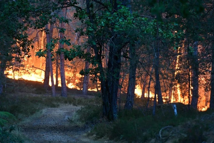 Incendio en el bosque de Fontainebleu