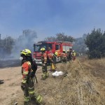 Efectivos del Consorcio de Bomberos de Valencia trabajan en la extinción del incendio forestal en Manises.