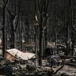Paisaje quemado en el Parque Natural del Valle de Iruelas arrasado por el incendio de Burgohondo (Ávila).