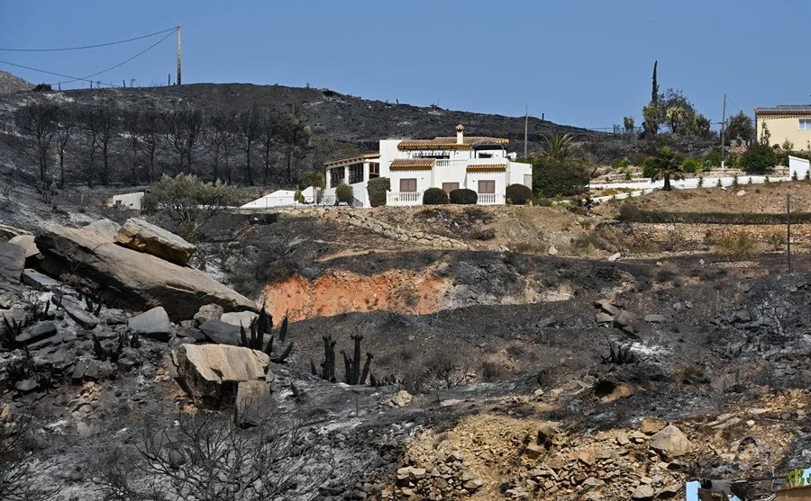 Incendio forestal de Los Gallardos (Almería)
