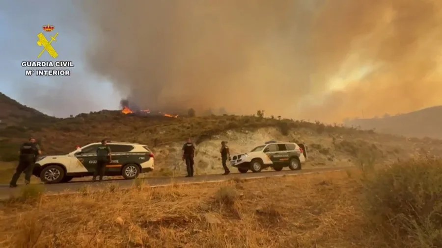 Incendio forestal de Los Gallardos (Almería)