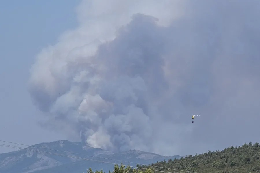 Superficie quemada en los incendios