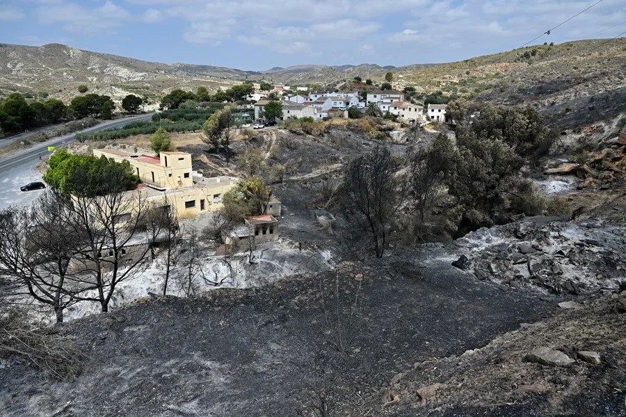 El "cruento" incendio de Los Gallardos queda estabilizado tras calcinar 7.000 hectáreas