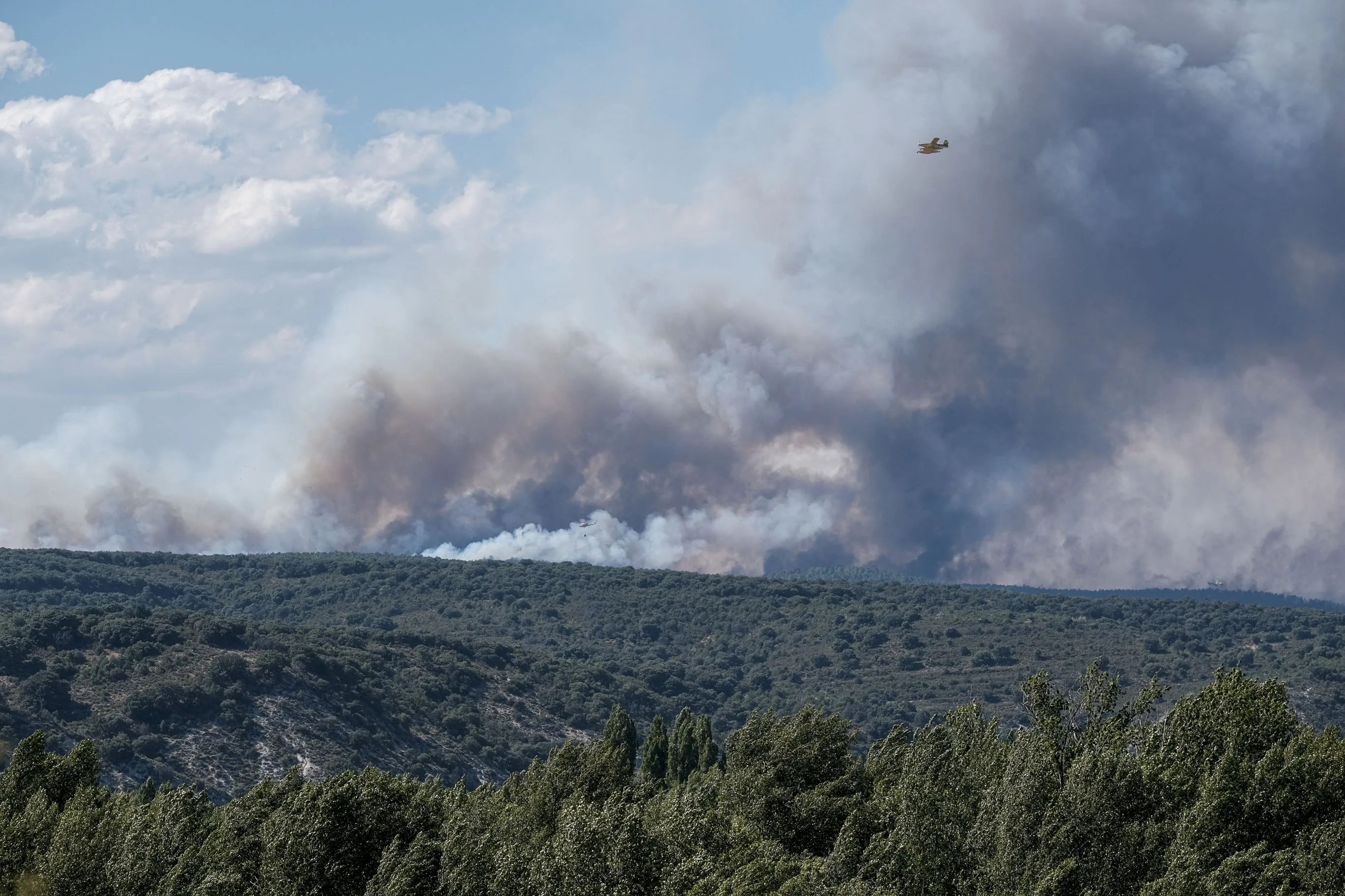 Incendio forestal de La Mierla (Guadalajara)